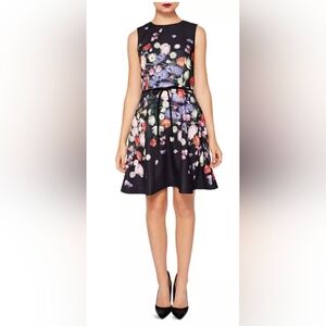 Ted Baker London Izobela Kensington fit & flare sleeveless dress US sz 2